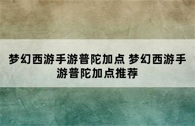 梦幻西游手游普陀加点 梦幻西游手游普陀加点推荐